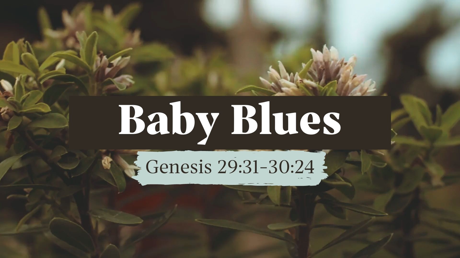 A True Beginning - Baby Blues (Genesis 29:31-30:24)